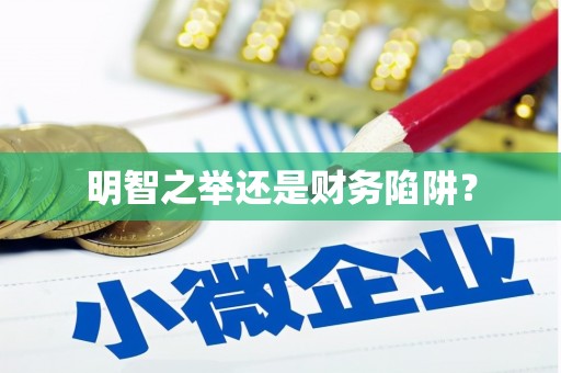 井冈山明智之举还是财务陷阱？