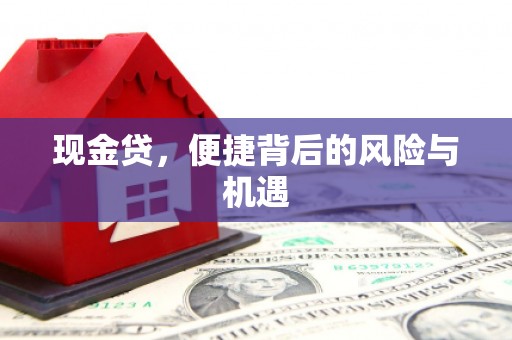 井冈山现金贷，便捷背后的风险与机遇