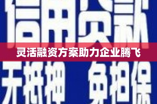 井冈山灵活融资方案助力企业腾飞