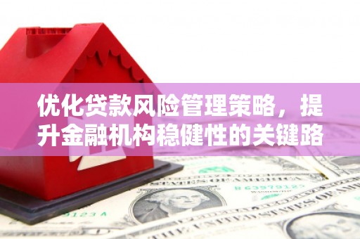 井冈山优化贷款风险管理策略，提升金融机构稳健性的关键路径