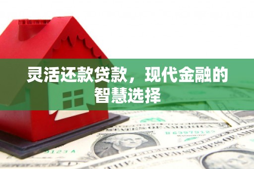 井冈山灵活还款贷款，现代金融的智慧选择