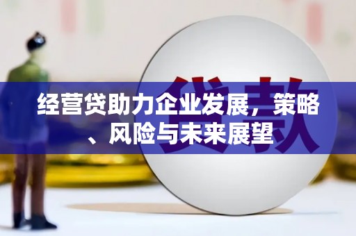 井冈山经营贷助力企业发展，策略、风险与未来展望
