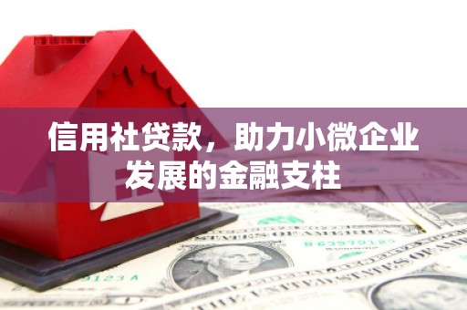 井冈山信用社贷款，助力小微企业发展的金融支柱