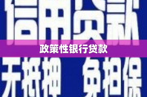 井冈山政策性银行贷款