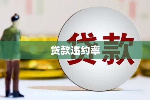 井冈山贷款违约率