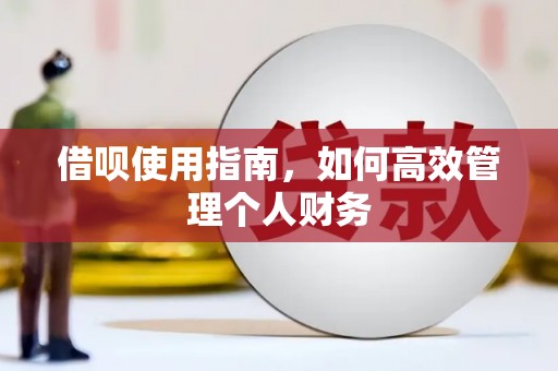 井冈山借呗使用指南，如何高效管理个人财务
