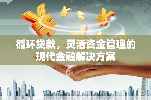 井冈山循环贷款，灵活资金管理的现代金融解决方案