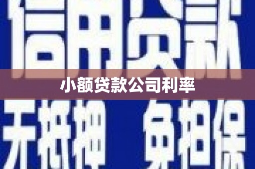 井冈山小额贷款公司利率