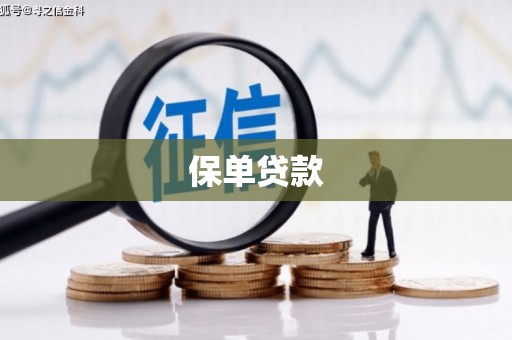 井冈山保单贷款