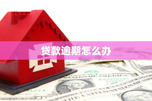 井冈山贷款逾期怎么办