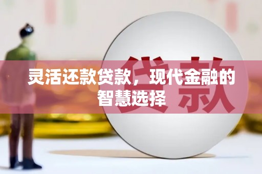 井冈山灵活还款贷款，现代金融的智慧选择