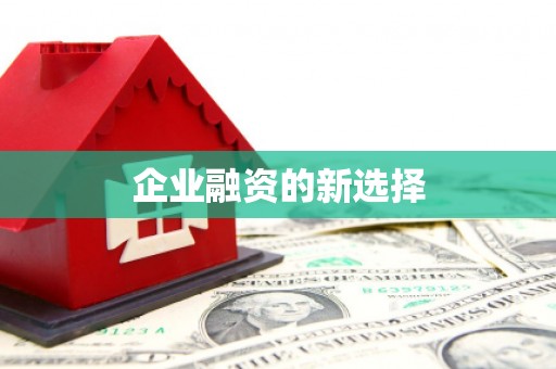 井冈山企业融资的新选择