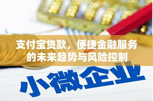 井冈山支付宝贷款，便捷金融服务的未来趋势与风险控制
