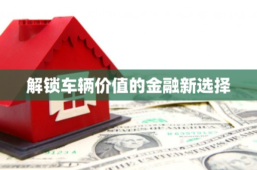 井冈山解锁车辆价值的金融新选择