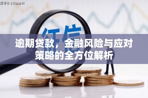 井冈山逾期贷款，金融风险与应对策略的全方位解析