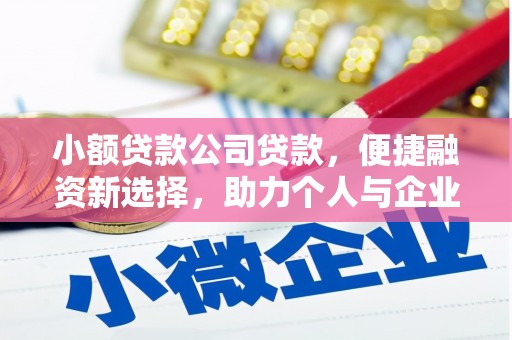 井冈山小额贷款公司贷款，便捷融资新选择，助力个人与企业成长
