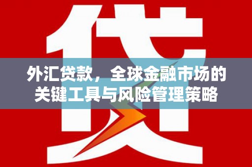 井冈山外汇贷款，全球金融市场的关键工具与风险管理策略