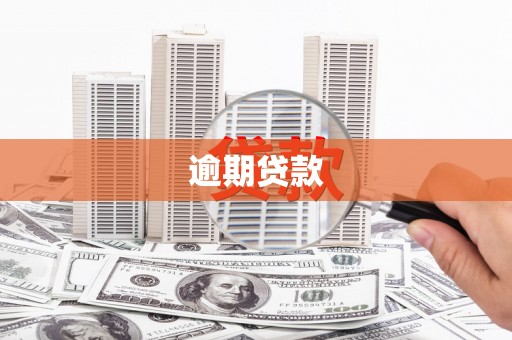 井冈山逾期贷款
