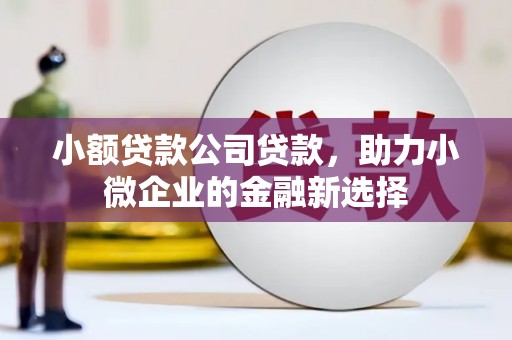 井冈山小额贷款公司贷款，助力小微企业的金融新选择