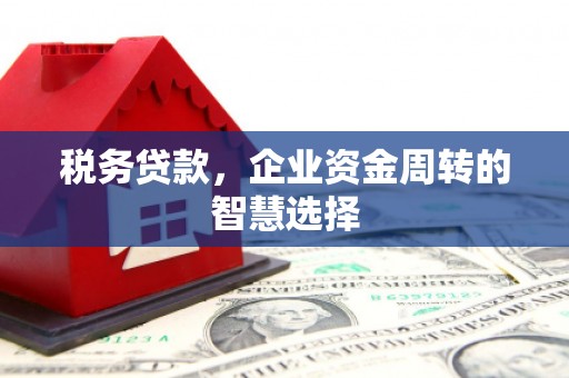 井冈山税务贷款，企业资金周转的智慧选择