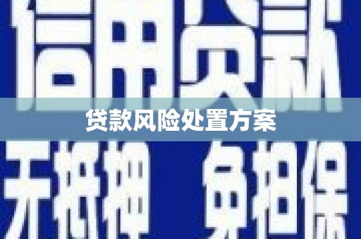 井冈山贷款风险处置方案