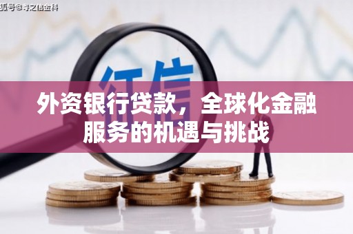 井冈山外资银行贷款，全球化金融服务的机遇与挑战