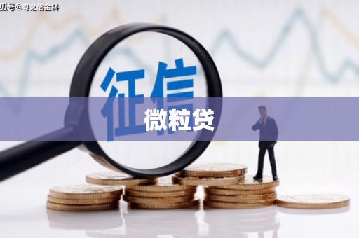 井冈山微粒贷
