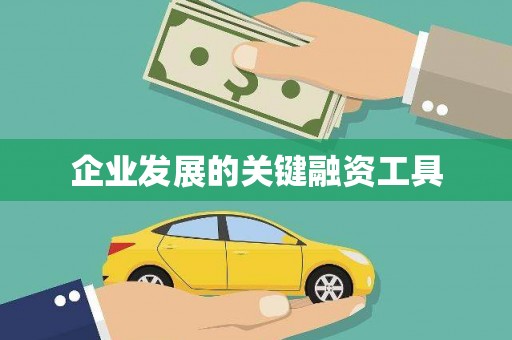 井冈山企业发展的关键融资工具