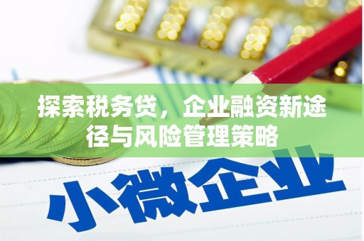 井冈山探索税务贷，企业融资新途径与风险管理策略