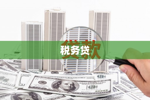 井冈山税务贷