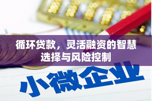 井冈山循环贷款，灵活融资的智慧选择与风险控制