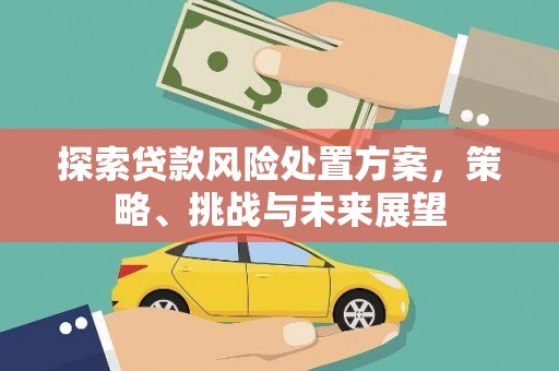 井冈山探索贷款风险处置方案，策略、挑战与未来展望