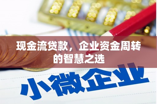 井冈山现金流贷款，企业资金周转的智慧之选