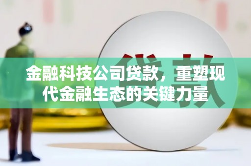 井冈山金融科技公司贷款，重塑现代金融生态的关键力量