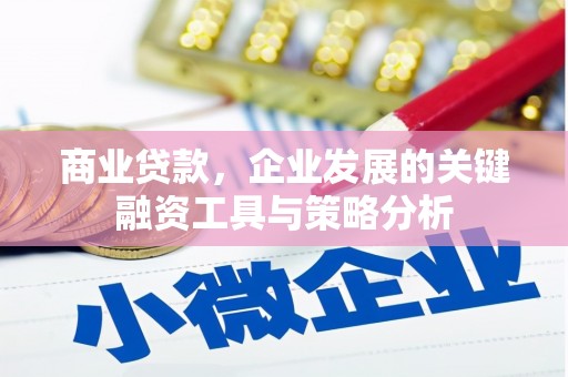 井冈山商业贷款，企业发展的关键融资工具与策略分析