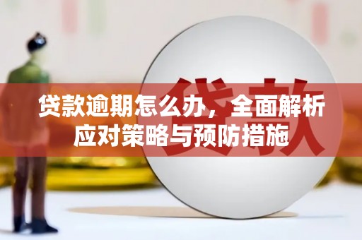 井冈山贷款逾期怎么办，全面解析应对策略与预防措施