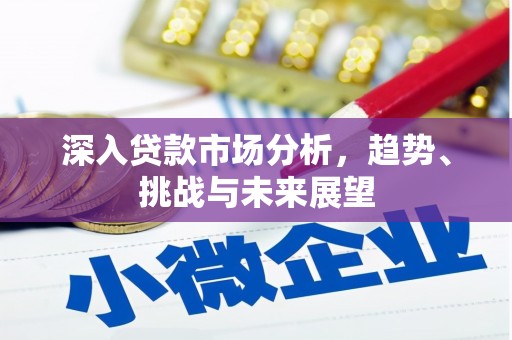 井冈山深入贷款市场分析，趋势、挑战与未来展望