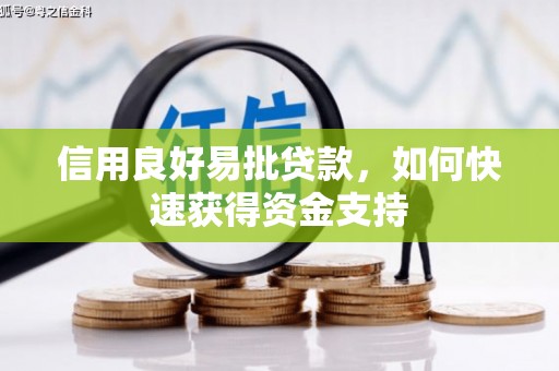 井冈山信用良好易批贷款，如何快速获得资金支持