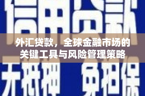 井冈山外汇贷款，全球金融市场的关键工具与风险管理策略