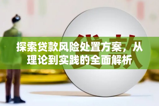 井冈山探索贷款风险处置方案，从理论到实践的全面解析