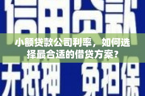 井冈山小额贷款公司利率，如何选择最合适的借贷方案？
