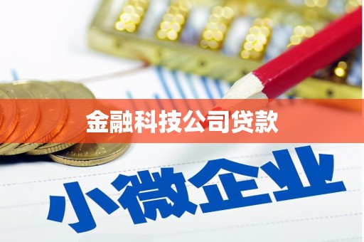 井冈山金融科技公司贷款