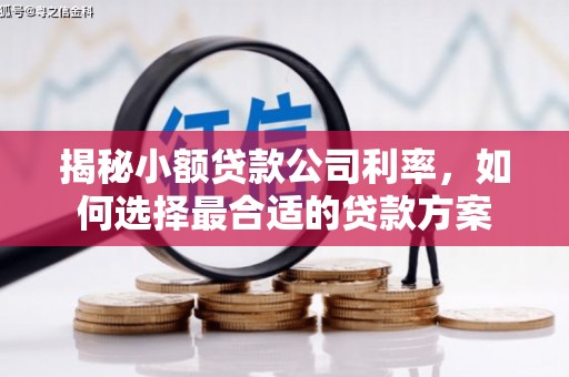 井冈山揭秘小额贷款公司利率，如何选择最合适的贷款方案