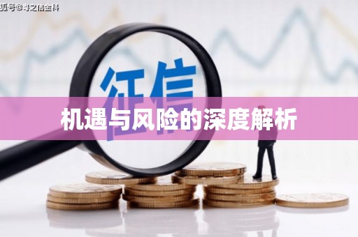 井冈山机遇与风险的深度解析