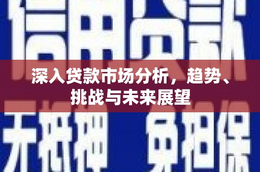 井冈山深入贷款市场分析，趋势、挑战与未来展望