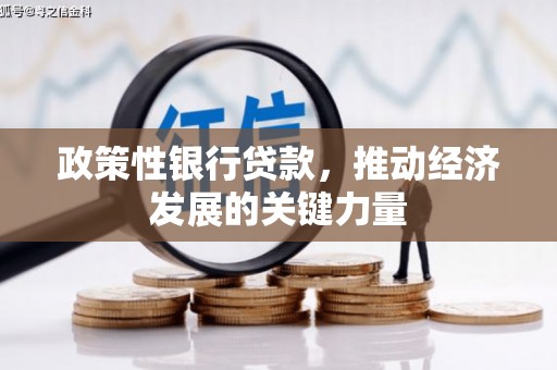 井冈山政策性银行贷款，推动经济发展的关键力量