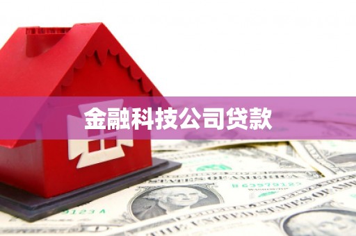 井冈山金融科技公司贷款