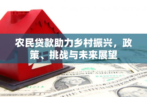 井冈山农民贷款助力乡村振兴，政策、挑战与未来展望