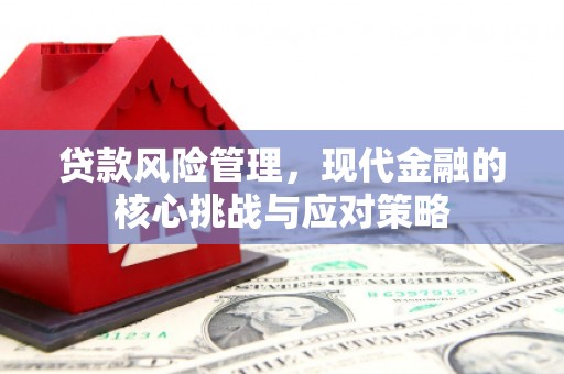 井冈山贷款风险管理，现代金融的核心挑战与应对策略