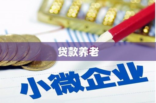 井冈山贷款养老